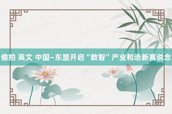 偷拍 英文 中国—东盟开启“数智”产业和洽新赛说念