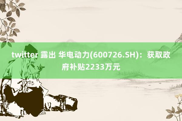 twitter 露出 华电动力(600726.SH)：获取政府补贴2233万元