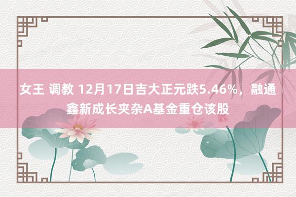 女王 调教 12月17日吉大正元跌5.46%，融通鑫新成长夹杂A基金重仓该股