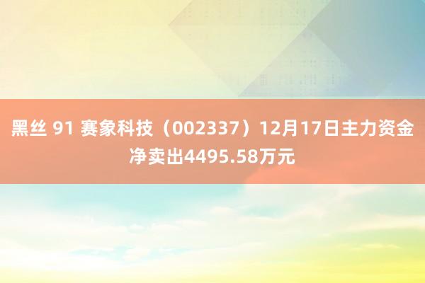 黑丝 91 赛象科技（002337）12月17日主力资金净卖出4495.58万元