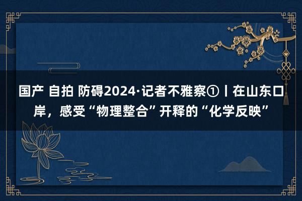 国产 自拍 防碍2024·记者不雅察①丨在山东口岸，感受“物理整合”开释的“化学反映”