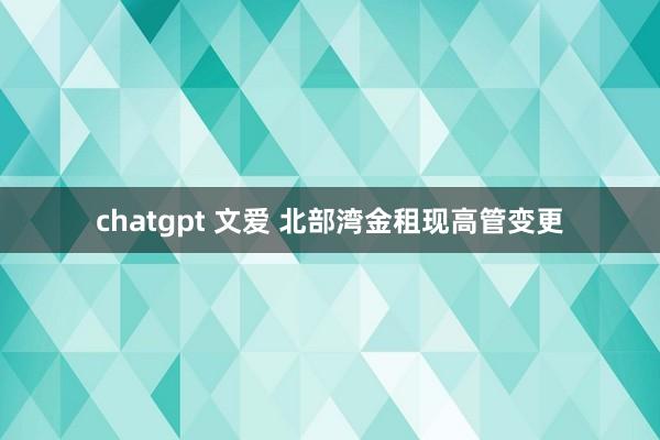 chatgpt 文爱 北部湾金租现高管变更