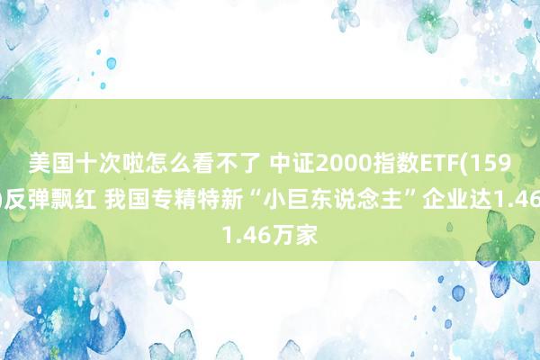 美国十次啦怎么看不了 中证2000指数ETF(159532)反弹飘红 我国专精特新“小巨东说念主”企业达1.46万家