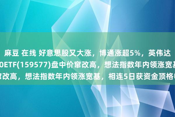 麻豆 在线 好意思股又大涨，博通涨超5%，英伟达涨超3%，好意思国50ETF(159577)盘中价窜改高，想法指数年内领涨宽基，相连5日获资金顶格申购