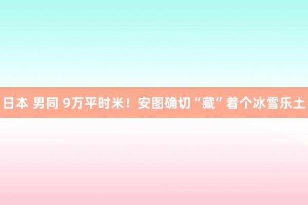 日本 男同 9万平时米！安图确切“藏”着个冰雪乐土
