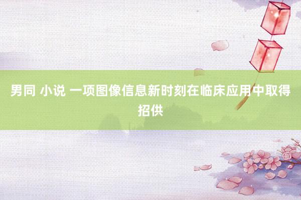 男同 小说 一项图像信息新时刻在临床应用中取得招供