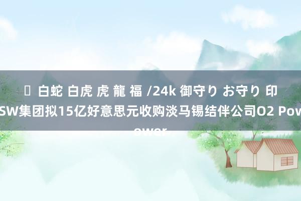 ✨白蛇 白虎 虎 龍 福 /24k 御守り お守り 印度JSW集团拟15亿好意思元收购淡马锡结伴公司O2 Power