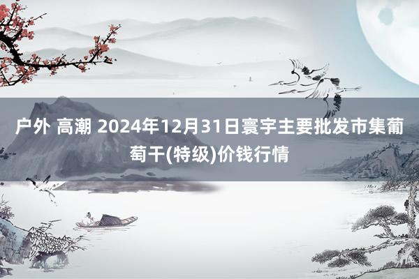 户外 高潮 2024年12月31日寰宇主要批发市集葡萄干(特级)价钱行情