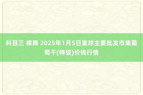 科目三 裸舞 2025年1月5日寰球主要批发市集葡萄干(特级)价钱行情
