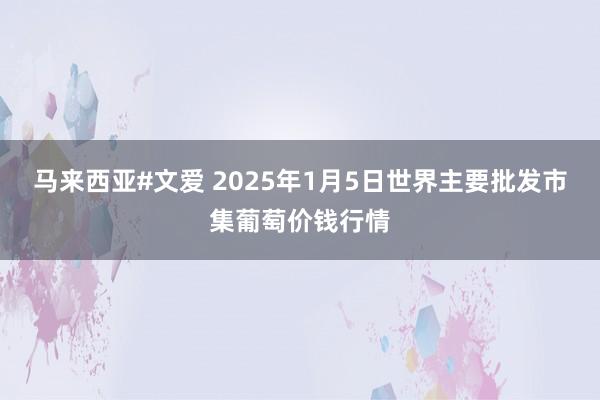 马来西亚#文爱 2025年1月5日世界主要批发市集葡萄价钱行情