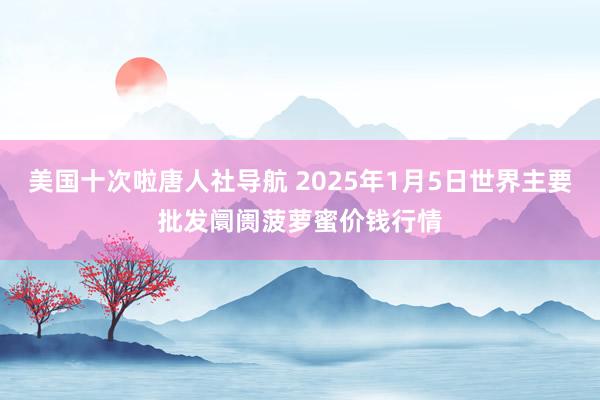 美国十次啦唐人社导航 2025年1月5日世界主要批发阛阓菠萝蜜价钱行情