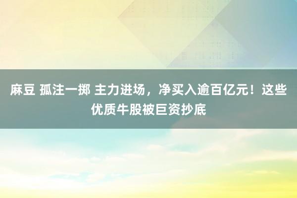 麻豆 孤注一掷 主力进场，净买入逾百亿元！这些优质牛股被巨资抄底