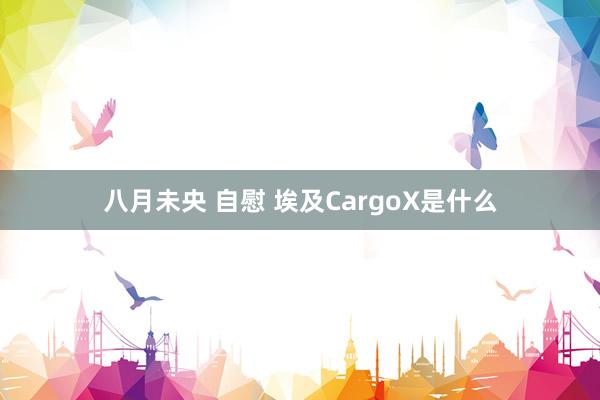 八月未央 自慰 埃及CargoX是什么