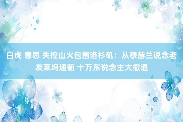 白虎 意思 失控山火包围洛杉矶：从穆赫兰说念老友莱坞通衢 十万东说念主大撤退