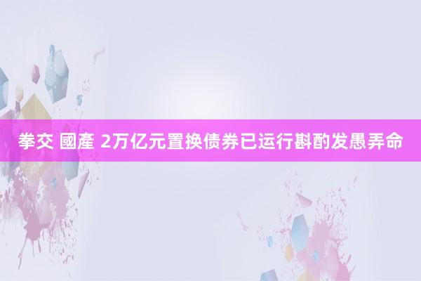 拳交 國產 2万亿元置换债券已运行斟酌发愚弄命