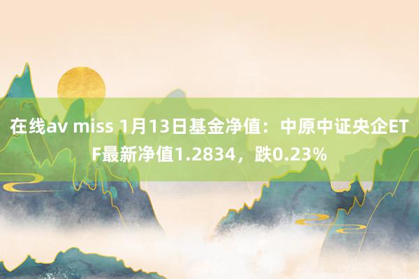 在线av miss 1月13日基金净值：中原中证央企ETF最新净值1.2834，跌0.23%