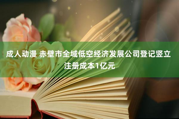 成人动漫 赤壁市全域低空经济发展公司登记竖立 注册成本1亿元