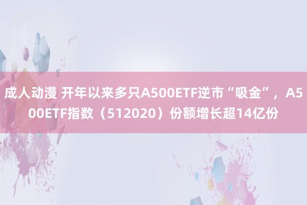 成人动漫 开年以来多只A500ETF逆市“吸金”，A500ETF指数（512020）份额增长超14亿份