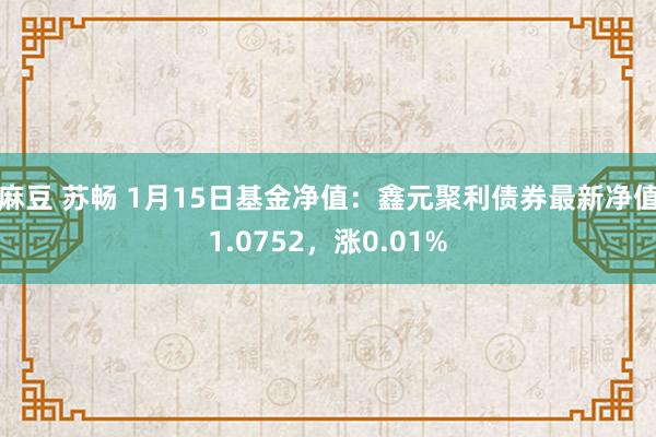 麻豆 苏畅 1月15日基金净值：鑫元聚利债券最新净值1.0752，涨0.01%