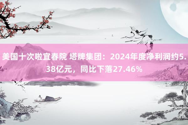 美国十次啦宜春院 塔牌集团：2024年度净利润约5.38亿元，同比下落27.46%