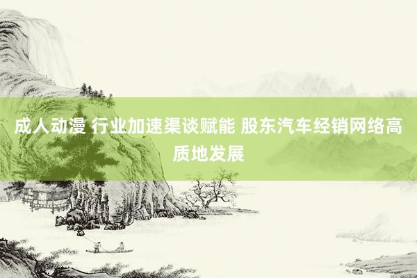 成人动漫 行业加速渠谈赋能 股东汽车经销网络高质地发展