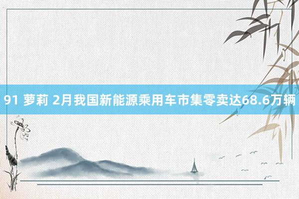 91 萝莉 2月我国新能源乘用车市集零卖达68.6万辆