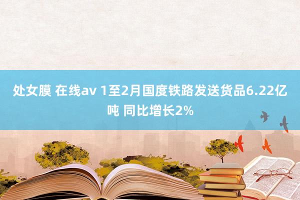 处女膜 在线av 1至2月国度铁路发送货品6.22亿吨 同比增长2%