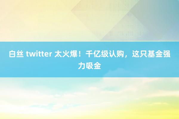 白丝 twitter 太火爆！千亿级认购，这只基金强力吸金