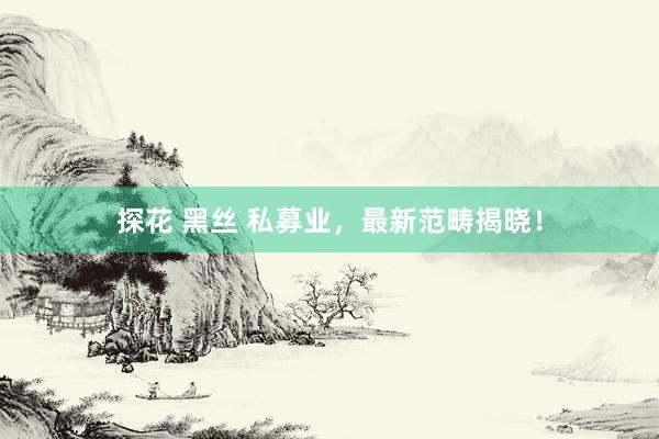 探花 黑丝 私募业，最新范畴揭晓！