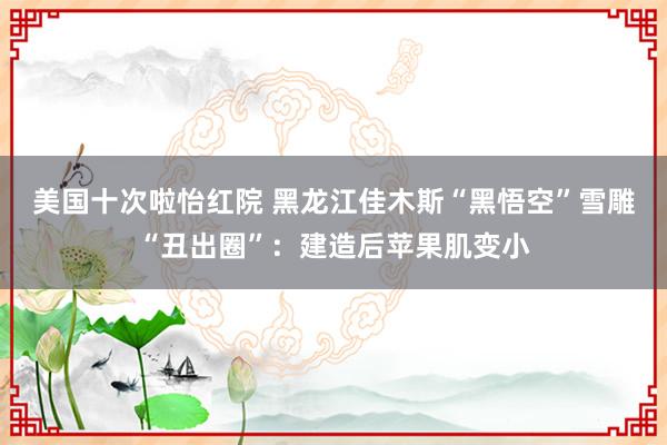 美国十次啦怡红院 黑龙江佳木斯“黑悟空”雪雕“丑出圈”：建造后苹果肌变小