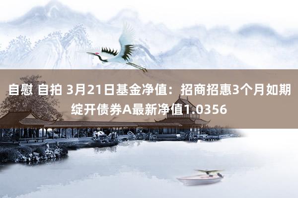 自慰 自拍 3月21日基金净值：招商招惠3个月如期绽开债券A最新净值1.0356