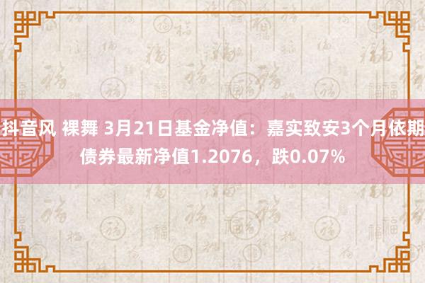 抖音风 裸舞 3月21日基金净值：嘉实致安3个月依期债券最新净值1.2076，跌0.07%