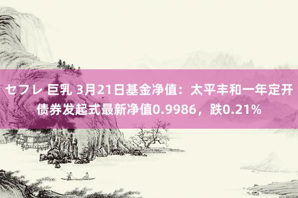 セフレ 巨乳 3月21日基金净值：太平丰和一年定开债券发起式最新净值0.9986，跌0.21%
