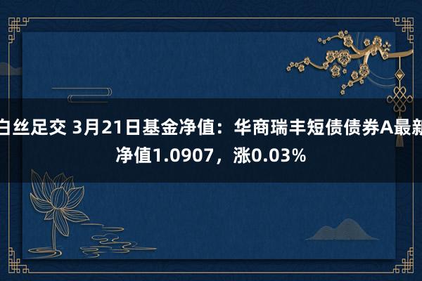 白丝足交 3月21日基金净值：华商瑞丰短债债券A最新净值1.0907，涨0.03%