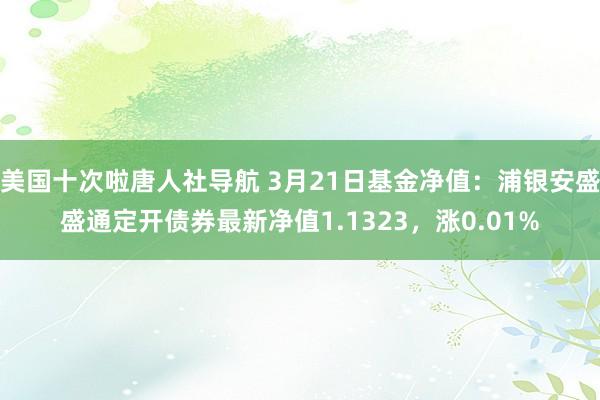 美国十次啦唐人社导航 3月21日基金净值：浦银安盛盛通定开债券最新净值1.1323，涨0.01%