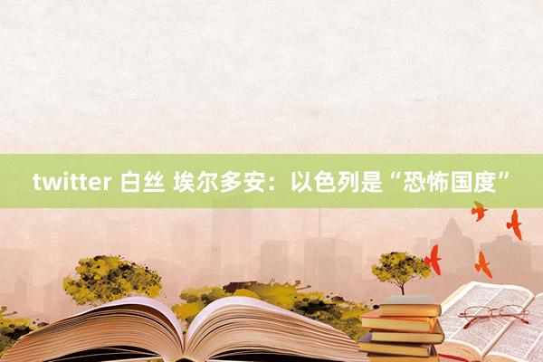 twitter 白丝 埃尔多安：以色列是“恐怖国度”