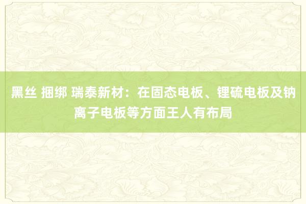 黑丝 捆绑 瑞泰新材：在固态电板、锂硫电板及钠离子电板等方面王人有布局
