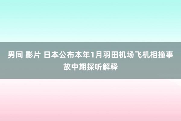 男同 影片 日本公布本年1月羽田机场飞机相撞事故中期探听解释