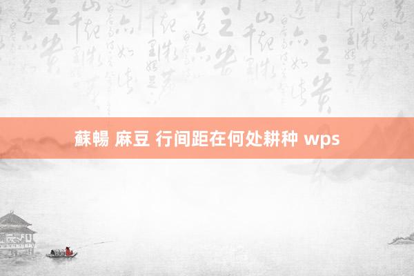 蘇暢 麻豆 行间距在何处耕种 wps