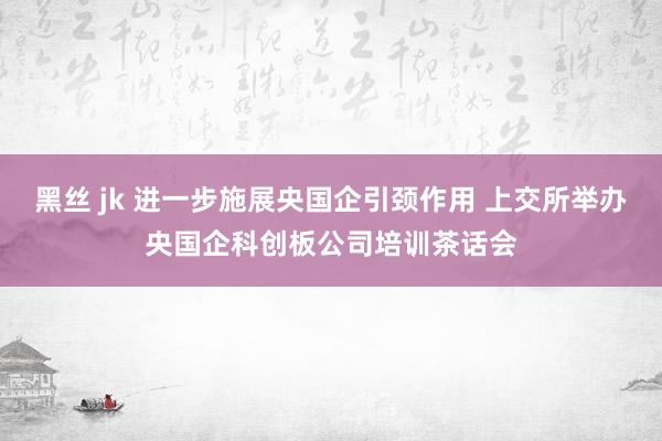 黑丝 jk 进一步施展央国企引颈作用 上交所举办央国企科创板公司培训茶话会