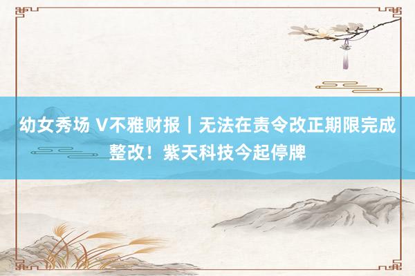 幼女秀场 V不雅财报｜无法在责令改正期限完成整改！紫天科技今起停牌