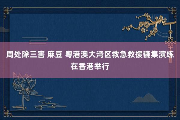周处除三害 麻豆 粤港澳大湾区救急救援辘集演练在香港举行