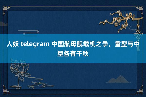 人妖 telegram 中国航母舰载机之争，重型与中型各有千秋