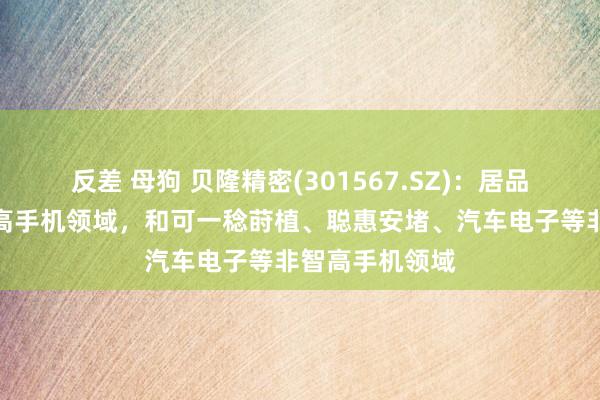 反差 母狗 贝隆精密(301567.SZ)：居品主要足下于智高手机领域，和可一稔莳植、聪惠安堵、汽车电子等非智高手机领域