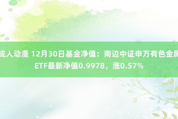成人动漫 12月30日基金净值：南边中证申万有色金属ETF最新净值0.9978，涨0.57%