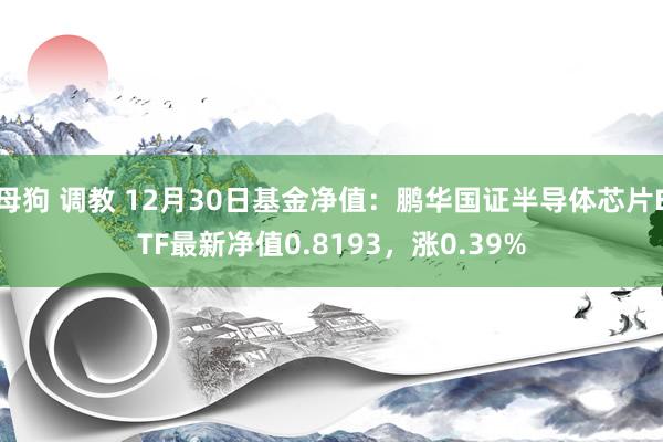 母狗 调教 12月30日基金净值：鹏华国证半导体芯片ETF最新净值0.8193，涨0.39%