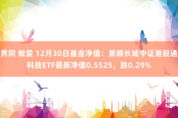 男同 做爱 12月30日基金净值：景顺长城中证港股通科技ETF最新净值0.5525，跌0.29%