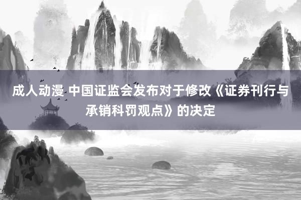 成人动漫 中国证监会发布对于修改《证券刊行与承销科罚观点》的决定