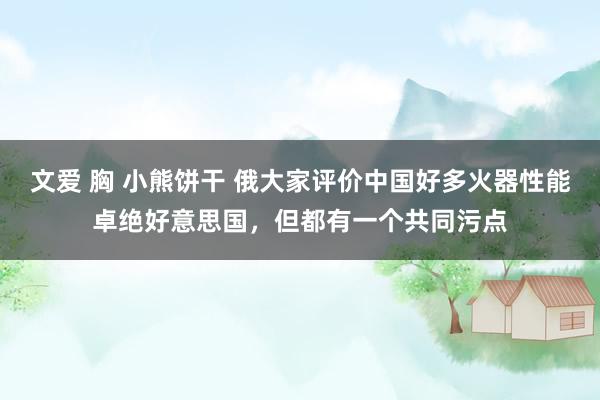 文爱 胸 小熊饼干 俄大家评价中国好多火器性能卓绝好意思国，但都有一个共同污点