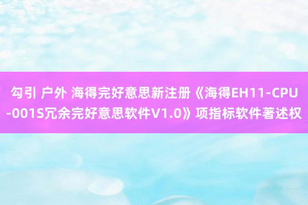 勾引 户外 海得完好意思新注册《海得EH11-CPU-001S冗余完好意思软件V1.0》项指标软件著述权